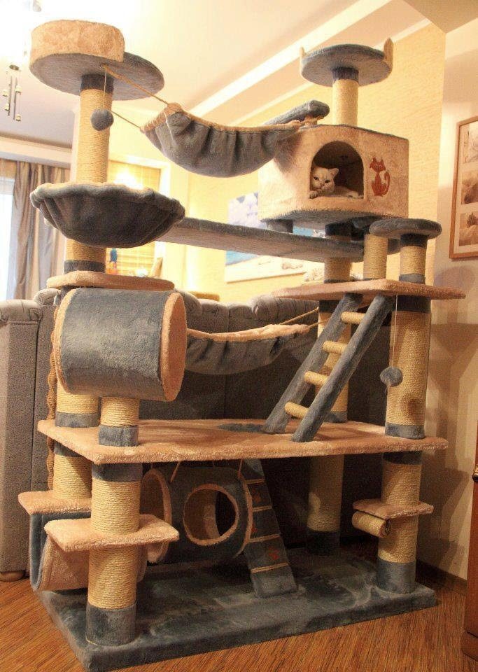 How To Build Your Own DYI Cat House