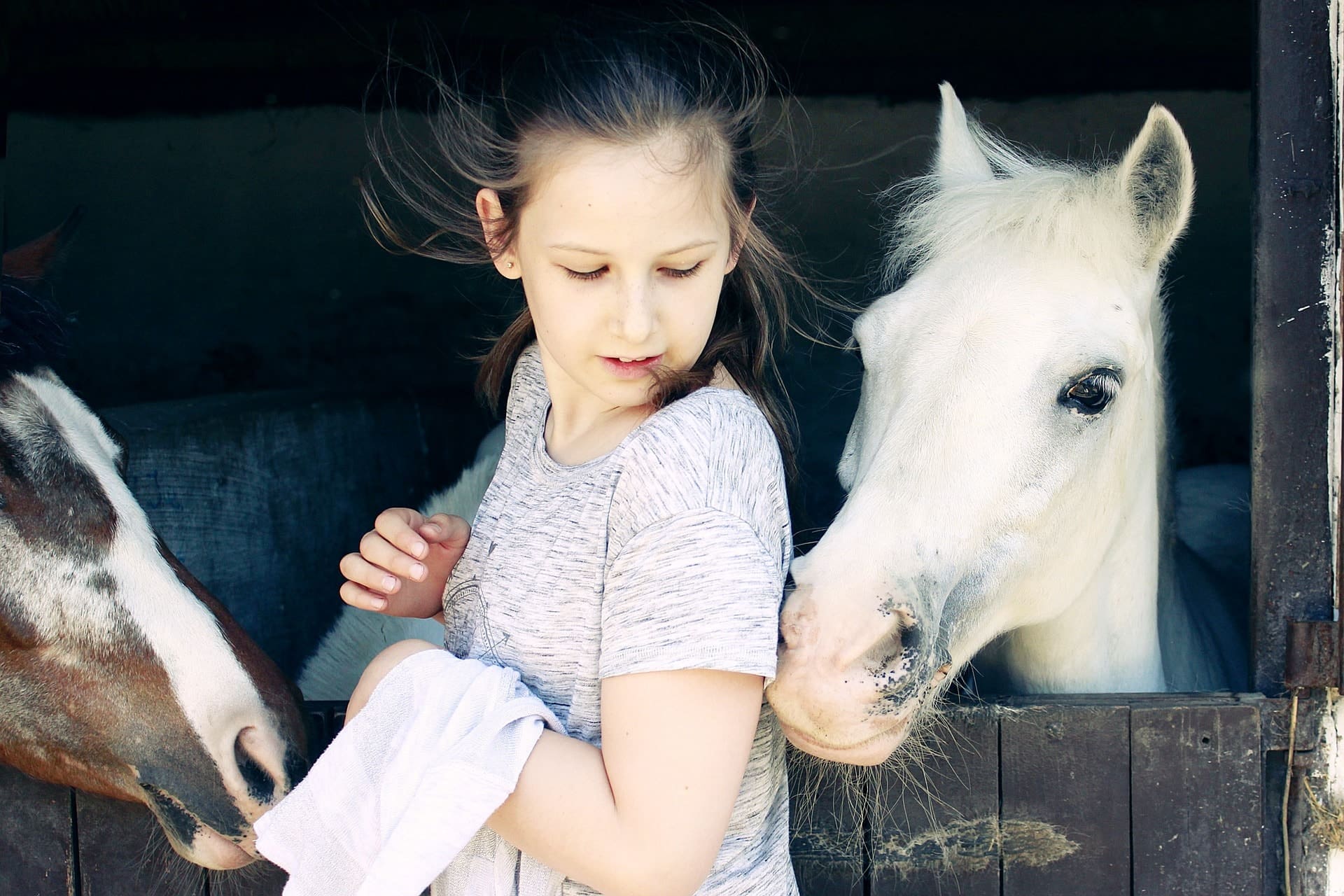 Tips On How To Enjoy Horse Summer Camp